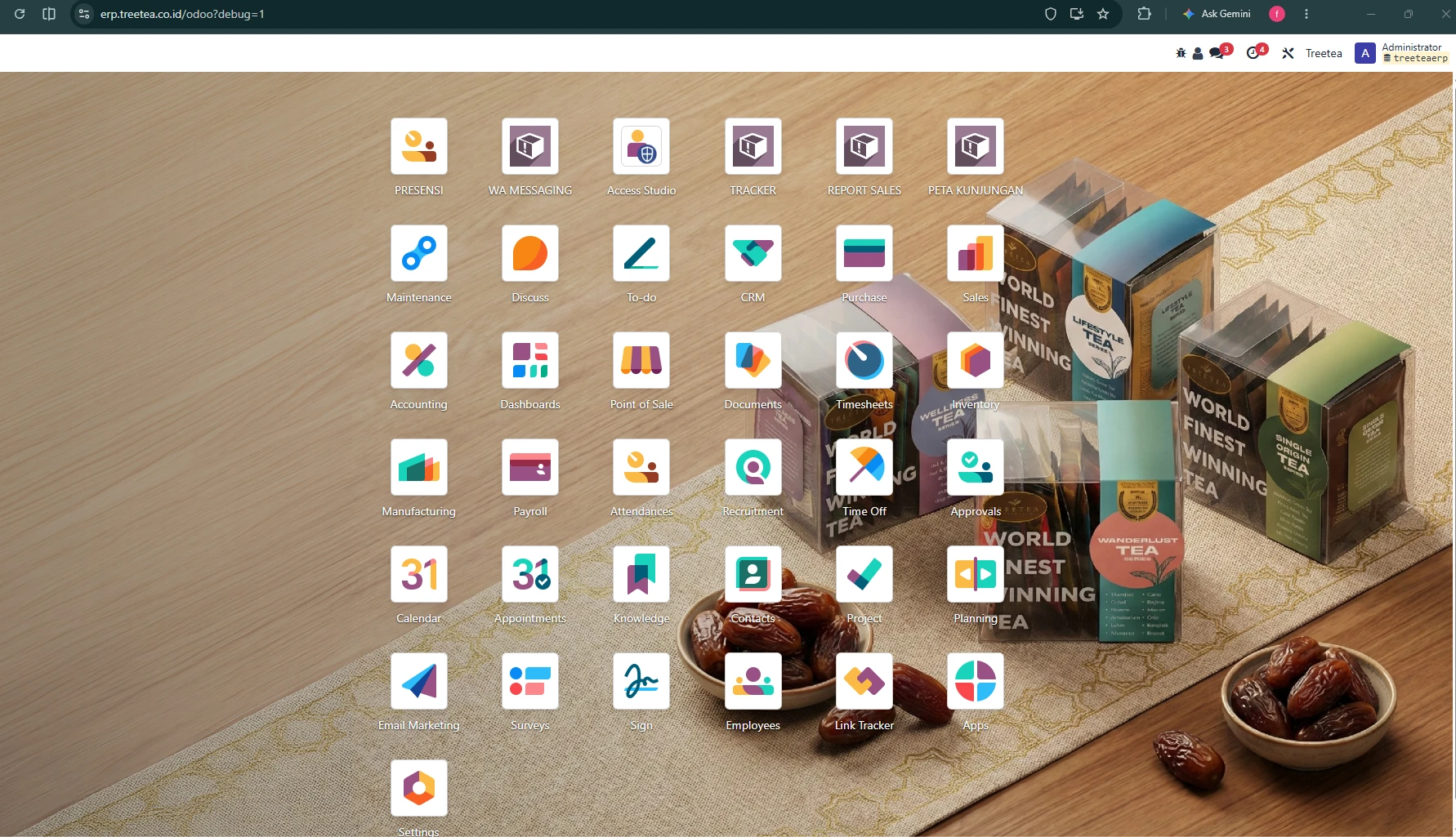 Menu Modul Custom Odoo 18 Multi-Company